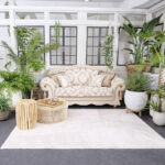 スタジオベガ温室セット