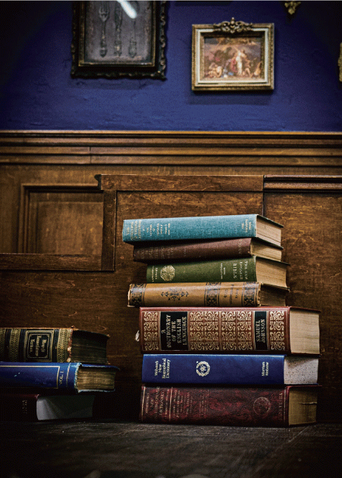 東京コスプレイヤースタジオベガ